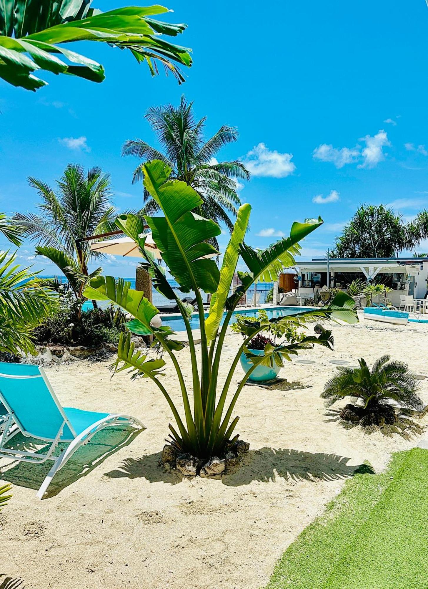 Pension Irivai, Appartement Rava 1 Chambre Bord De Mer Uturoa Exterior foto